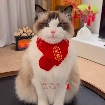 Μαντήλι για κατοικίδια (μαλλί; κέντημα; μηχανικά υφαντό με επίπεδη ύφανση; για όλες τις εποχές; Εορτασμός της Άνοιξης)