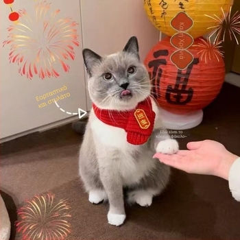 Μαντήλι για κατοικίδια (μαλλί; κέντημα; μηχανικά υφαντό με επίπεδη ύφανση; για όλες τις εποχές; Εορτασμός της Άνοιξης)