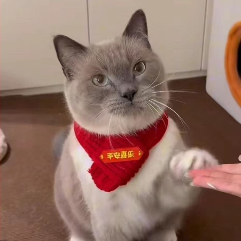 Μαντήλι για κατοικίδια (μαλλί; κέντημα; μηχανικά υφαντό με επίπεδη ύφανση; για όλες τις εποχές; Εορτασμός της Άνοιξης)