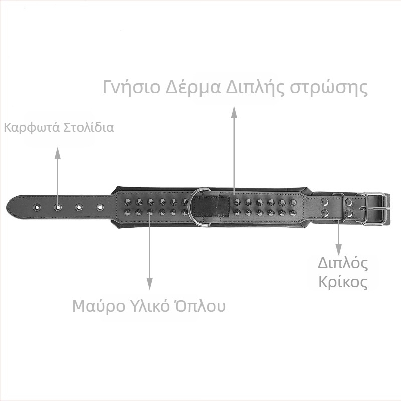 Δερμάτινος περιλαίμιος σκύλου με καρφιά και rivets, επενδεδυμένος για προστασία από δάγκωμα