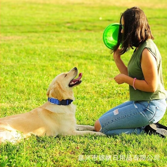Σετ κολάρων και λουριών για σκύρους - νάιλον, μονοχρωματικό σχέδιο, χαλαρό στυλ, Jinfan