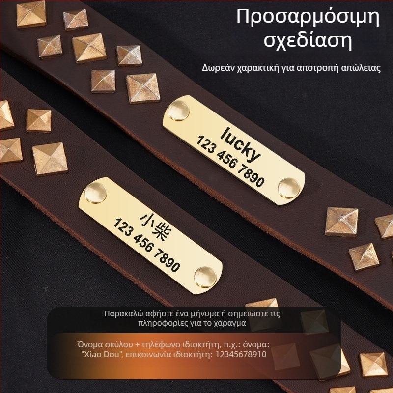 One Tail δερμάτινο κολάρο σκύλου – Μοντέλο πλέγματος, Χιπ-χοπ στυλ, για όλες τις εποχές