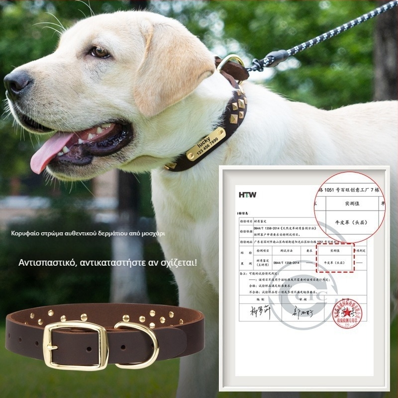 One Tail δερμάτινο κολάρο σκύλου – Μοντέλο πλέγματος, Χιπ-χοπ στυλ, για όλες τις εποχές