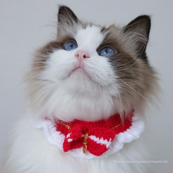 Πλεκτό αξεσουάρ για κατοικίδια – σχέδιο αντιστοίχισης χρωμάτων, υλικό μαλλί, καθολική εφαρμογή, INS στυλ, κατάλληλο για όλες τις εποχές