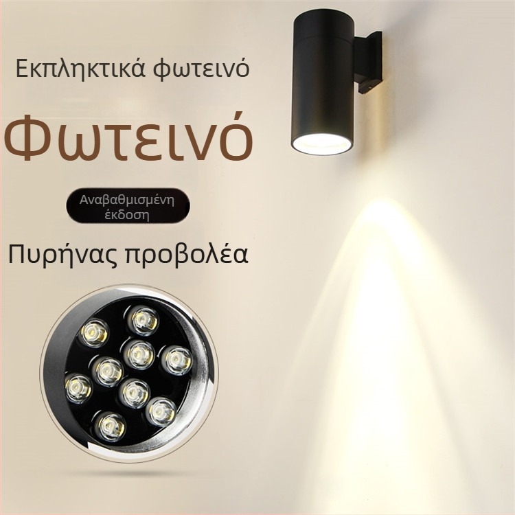 Εξωτερικό φωτιστικό τοίχου IP65, αλουμινένιο περίβλημα, 12 LED, 3000K/6000K, 145×300 mm, αδιάβροχο φως κήπου