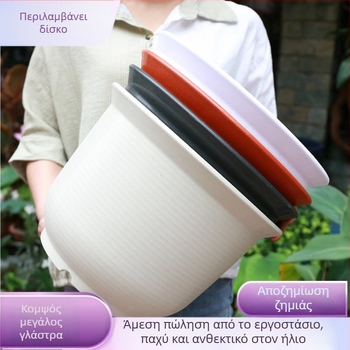 Γλάστρα από ρητίνη, πλαστική κατασκευή μέσω καλουπώματος, για χρήση σε επιφάνειας εργασίας ή δαπέδου, δεν παραμορφώνεται εύκολα - Exquisite Flowers