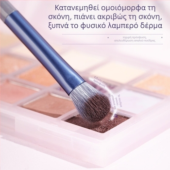Σετ πινέλων μακιγιάζ, 10 τεμάχια, τρίχες συνθετικής ίνας, μακριές λαβές από πλαστικό