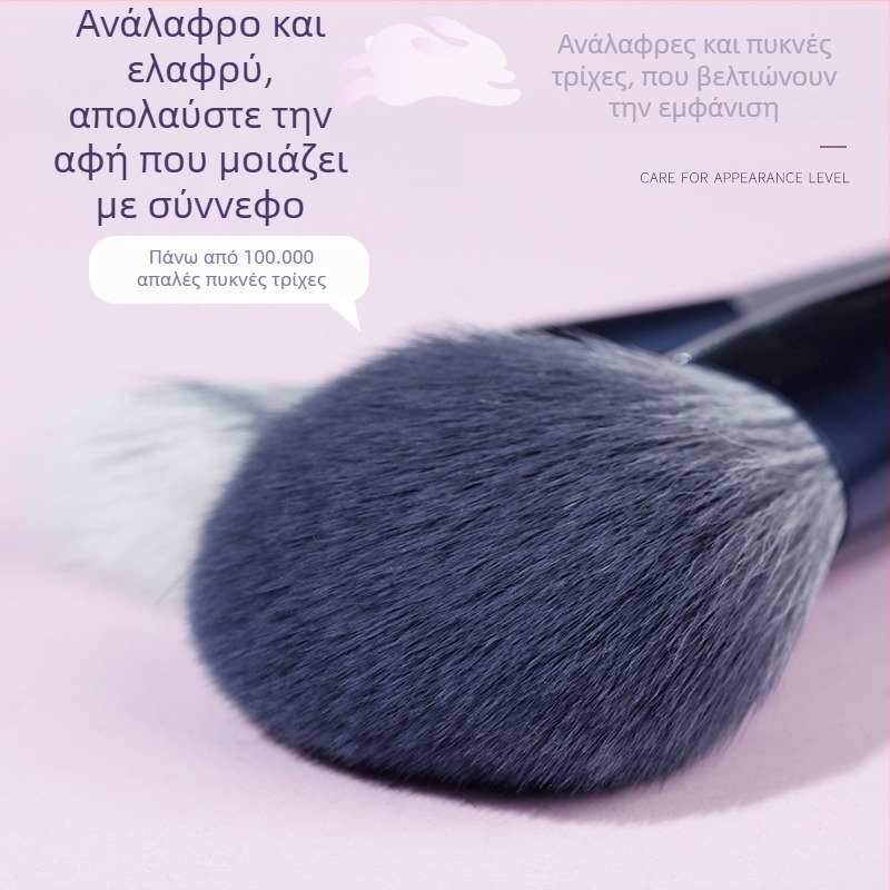 Σετ πινέλων μακιγιάζ, 10 τεμάχια, τρίχες συνθετικής ίνας, μακριές λαβές από πλαστικό
