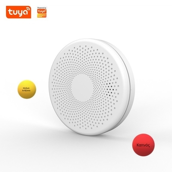 CS01W Ασύρματος ανιχνευτής καπνού και διοξειδίου του άνθρακα, 360° ανίχνευση, ήχος και φως συναγερμού, τροφοδοσία με μπαταρία AA 1,5V