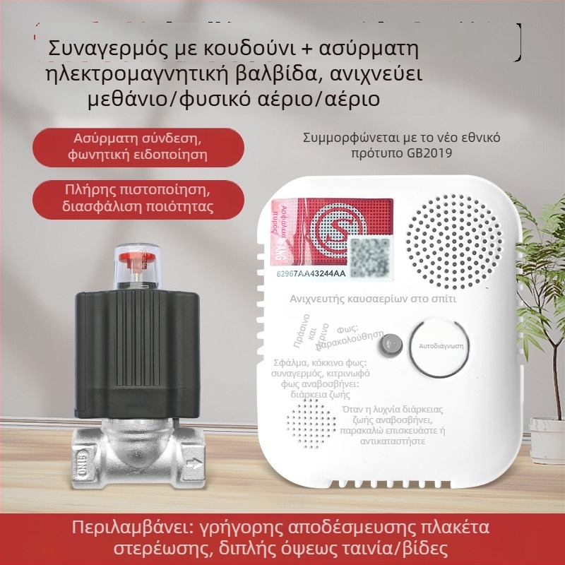 Οικιακός συναγερμός αερίου με ανίχνευση CO/μεθανίου, σταθερός τύπος, κάλυψη 20 m², ακρίβεια 8%, 220V