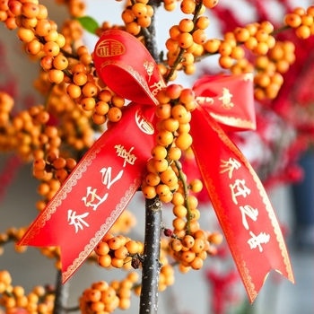 Κόκκινη πολυεστερική κορδέλα διακόσμησης για νέα κατοικία – Dumb and Quiet, χωρίς συσκευασία, για Κινέζικη Ημέρα Ερωτευμένων