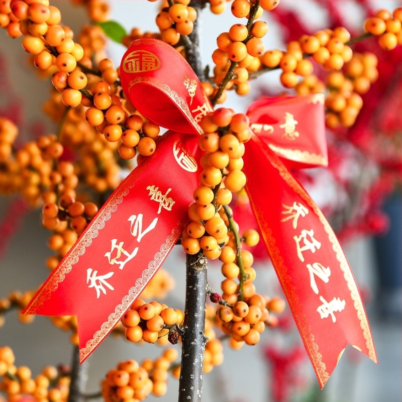 Κόκκινη πολυεστερική κορδέλα διακόσμησης για νέα κατοικία – Dumb and Quiet, χωρίς συσκευασία, για Κινέζικη Ημέρα Ερωτευμένων