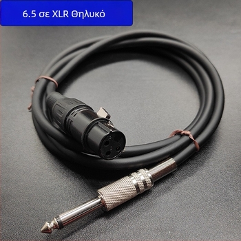 Καλώδιο ήχου 6,5 mm σε 6,35 mm για μίκτες και εξωτερικές κάρτες ήχου, πυρήνας από γυμνό χαλκό, διαθέσιμες μήκες 0,3–10 μ, για εξοπλισμό ήχου/βίντεο