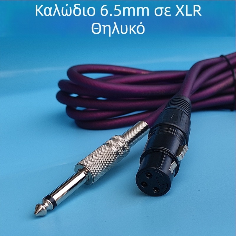 Καλώδιο ήχου 6,5 mm σε 6,35 mm για μίκτες και εξωτερικές κάρτες ήχου, πυρήνας από γυμνό χαλκό, διαθέσιμες μήκες 0,3–10 μ, για εξοπλισμό ήχου/βίντεο