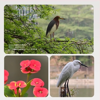 Τηλεφακός κινητού Motor Microsen, 40x χειροκίνητος ζουμ, συμβατός με τα περισσότερα smartphones