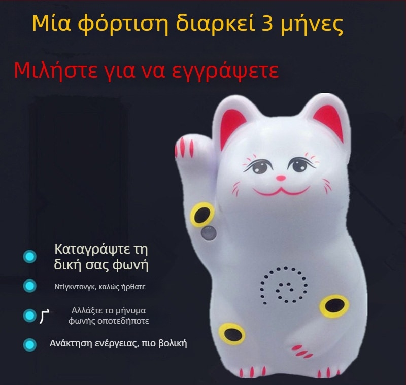 Θυροκλήση επαγωγής με υπέρυθρη ειδοποίηση και δυνατότητα εγγραφής ήχου, μοντέλο 024; διπλή τροφοδοσία (μπαταρία και παροχή ρεύματος); τάση 4,5V; προσαρμοστικός ήχος κλήσης