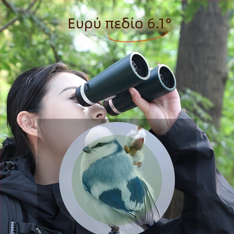 Κιάλια Kingopt WPH2K 8x42/10x42, HD, μεγεθυνση 8x/10x, αντικειμενικός φακός 42 mm, πεδίο θέασης 6.1°/5°, διάμετρος εξόδου της κόρης 4.1 mm/3.95 mm