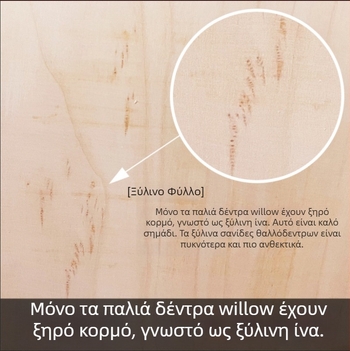 Ξύλινο σανίδι κοπής με αντιβακτηριακή ιδιότητα, κινεζικού στυλ, για ζύμη και κοπή