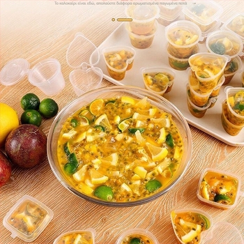 Κουτί μερίδων τροφίμων με σφραγιζόμενο καπάκι για αποθήκευση σε ψυγείο/καταψύκτη (Υλικό: Ασήμι; Στυλ: Ιαπωνικό; Εισαγωγή: Ναι)