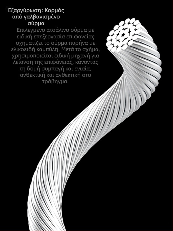 Σετ σωλήνων καλωδίων για ποδήλατο βουνού – μέταλλο, Lebycle, προσαρμογή κατά παραγγελία, καθολικό για άνδρες και γυναίκες, μη εισαγόμενο