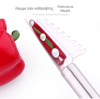 Ανοξείδωτος ξεφλουδιστής ψαριών με λαβή PP – εργαλείο κουζίνας για αφαίρεση λακων, μοντέρνος σχεδιασμός