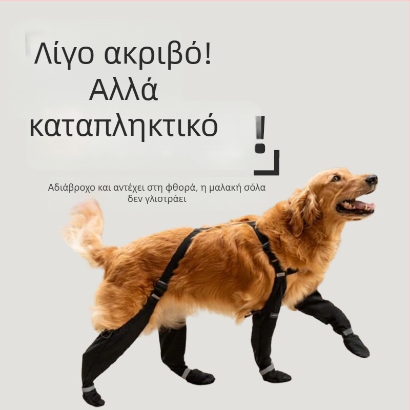 Παπούτσια σκύλου — Υλικό Silk Flower, Για σκύλους, Καθολικό στυλ, Προέλευση: Άλλο