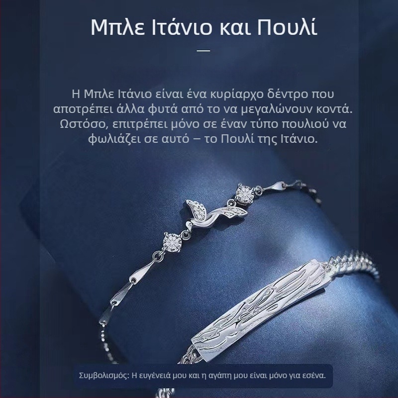 Γυναικείο βραχιόλι από χαλκό με μοτίβο ζωδίου, μινιμαλιστικός σχεδιασμός