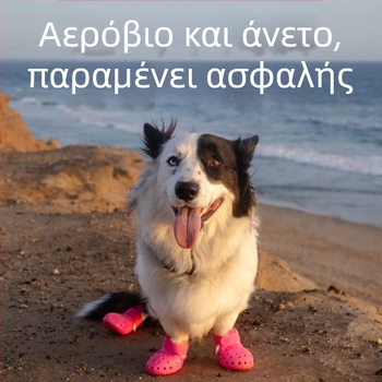 Παπούτσια σκύλου από καουτσούκ για βροχή — αδιάβροχα, αντιολισθητικά, ανθεκτικά στη φθορά, διακοσμητικά.