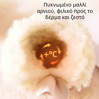 Παπούτσια σκύλου με αντιολισθητική σόλα, ζεστά και ανθεκτικά για το χειμώνα