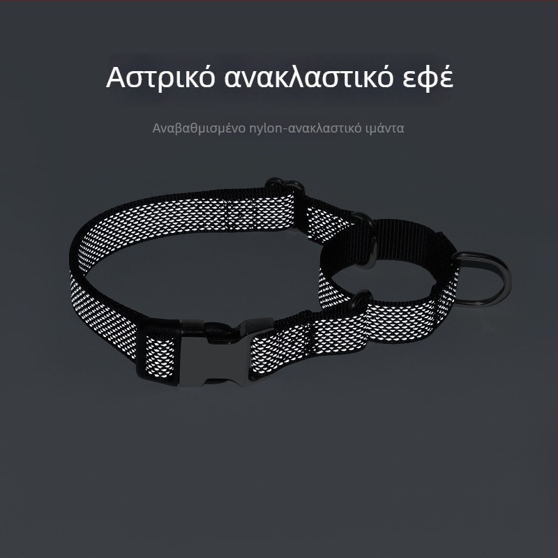 Νάιλον λουρί σκύλου Martingale με ανακλαστικότητας αστέρα και χαραγμένο όνομα