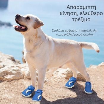 Παπούτσια σκύλων από συνθετικό δέρμα, αντιολισθητικά και ανθεκτικά στην φθορά, χαλαρό στυλ