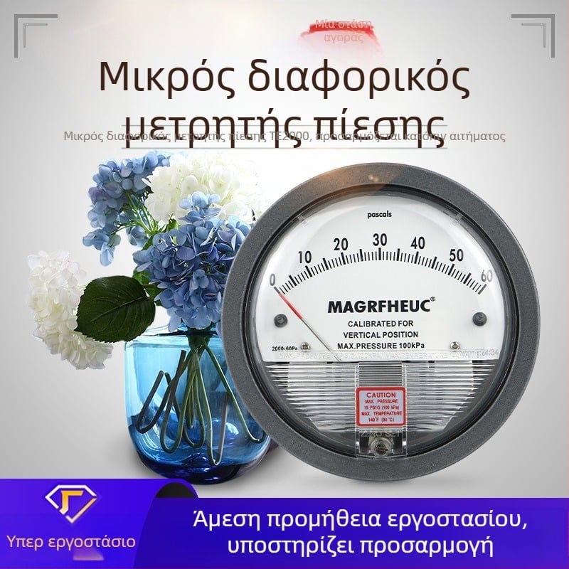 Μικροδιαφορικός μετρητής πίεσης TE2000, εύρος -1999 έως 9999, ακρίβεια 2,5, σύνδεση με νήμα