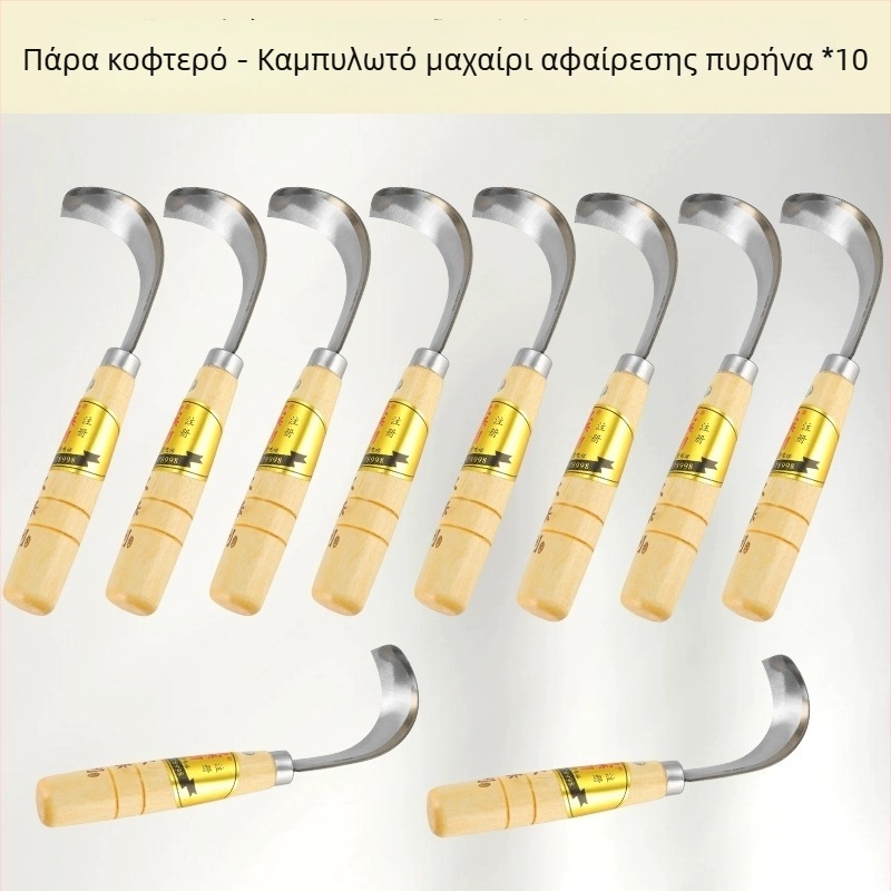 Μαχαίρι διαχωρισμού jackfruit – Ανοξείδωτο, πολυλειτουργικό εργαλείο για αφαίρεση του πυρήνα και διάσπαση του φρούτου