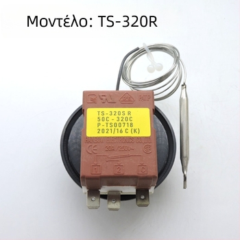 Rainbow ελεγκτής θερμοκρασίας λέβητα TS320R/TS120SR, θερμοστάτης με υγρή διαστολή, θερμοστάτης με επίπεδη κεφαλή, τοποθετημένος σε πάνελ, 250 V