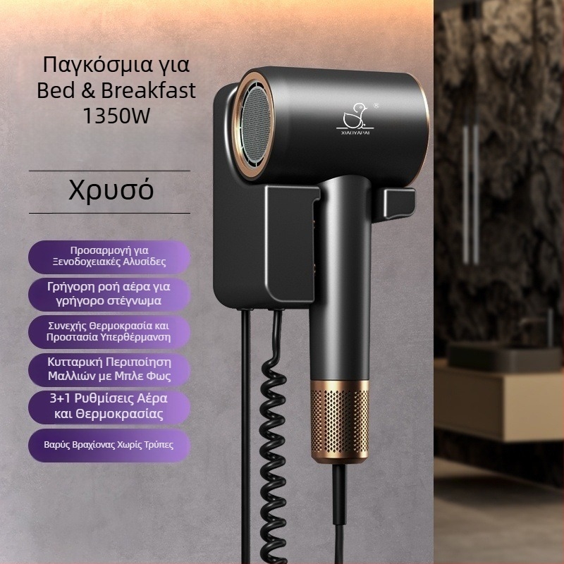 Σεσουάρ μαλλιών τοίχου, 1000W, 220V, ψυχρός/θερός αέρας, προστασία από υπερθέρμανση