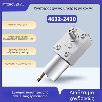 4632-2430 Μοτέρ χωρίς ψήκτρες με τουρμπινο-σκώληκα μειωτήρα, μικρός DC κινητήρας, υψηλή ροπή, αυτό-κλείδωμα, σήμα