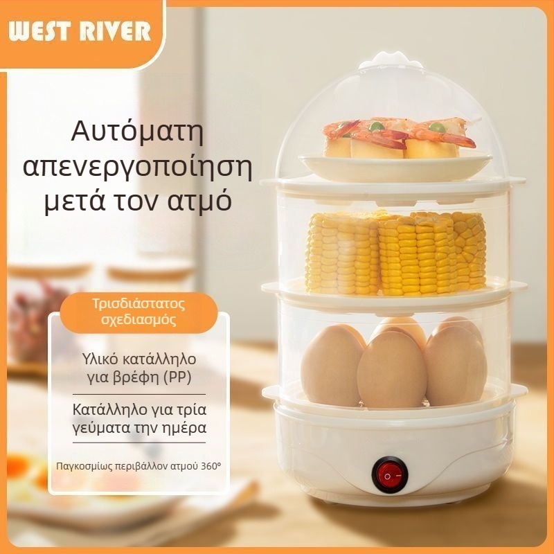 Ηλεκτρικός ατμομάγειρας, μονό επίπεδο, χωρητικότητα 10 L και άνω, έλεγχος αφής, μοντέλο 166