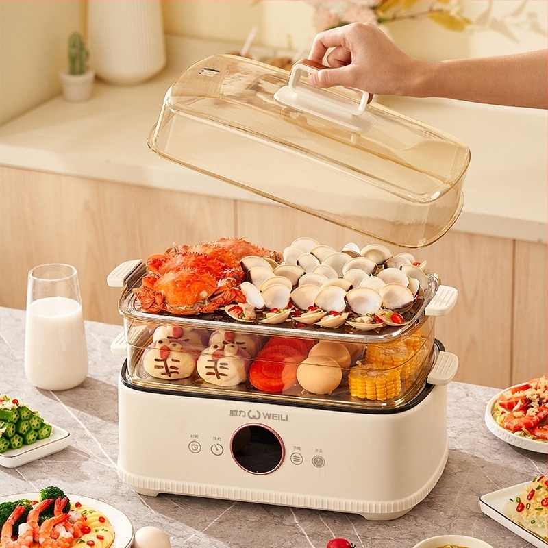 Οικιακός ηλεκτρικός ατμομάγειρας με τρεις βαθμίδες, μηχανικό έλεγχο, 220V, μοντέλο Hg-zg06