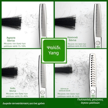 Yang ψαλίδια μαλλιών – Επαγγελματικά διατμητικά ψαλίδια με επίπετα δόντια, αιχμηρές λεπίδες