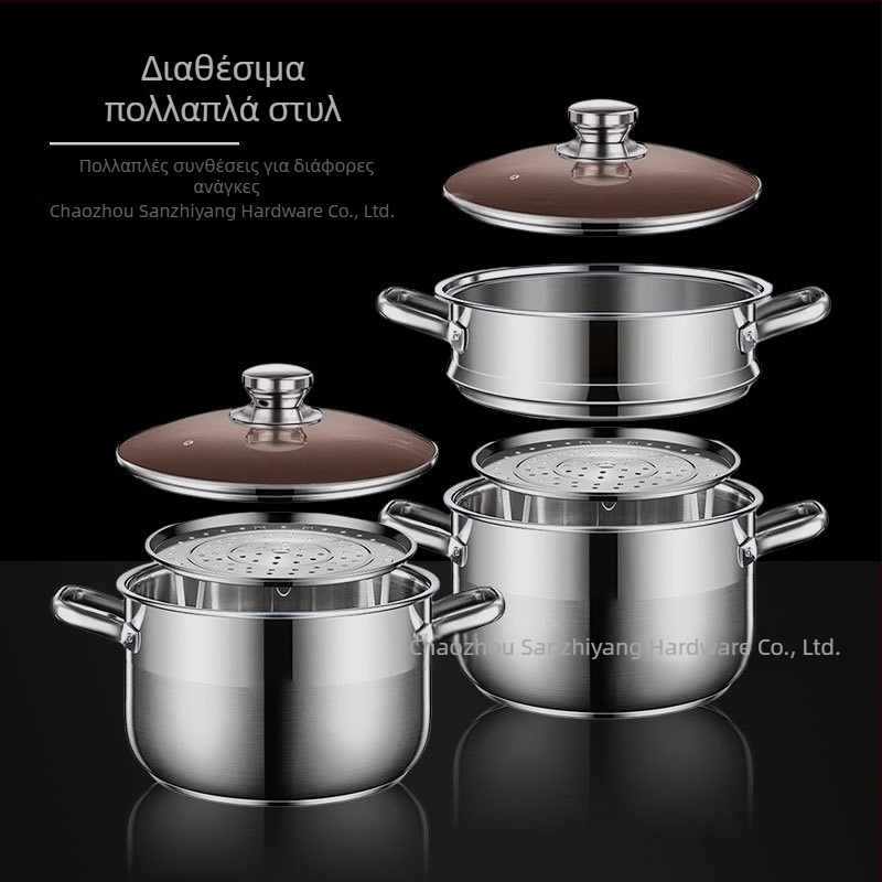 Κατσαρόλα ατμού με δύο επίπεδα από 201 ανοξείδωτο χάλυβα, με ενσωματωμένο καλάθι ατμού, γυάλινο καπάκι, πάτος πολλαπλών στρώσεων, συμβατή με επαγωγική εστία και γκάζι