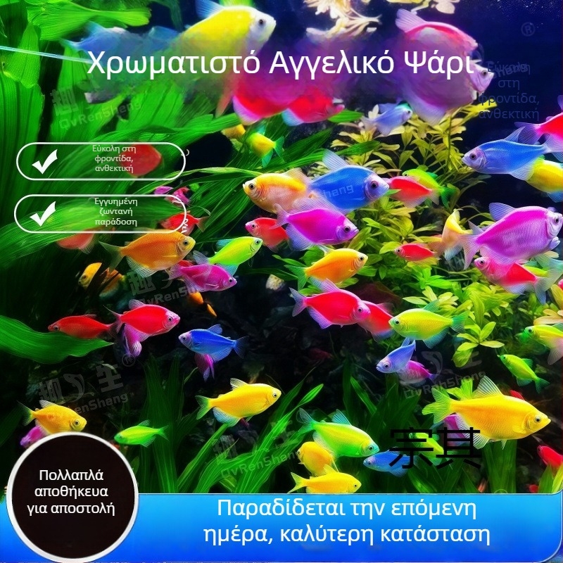 ABS φίλτρο ενυδρείου – εξοπλισμός ενυδρείου