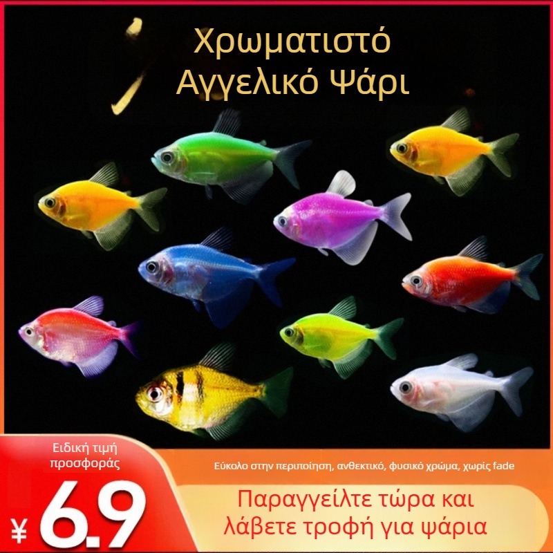 ABS φίλτρο ενυδρείου – εξοπλισμός ενυδρείου