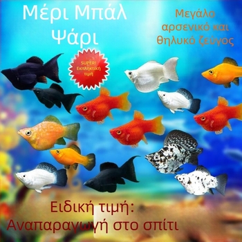 Jinpeng Φίλτρο ενυδρείου - Μάρκα Jinpeng, Εξοπλισμός ενυδρείου, Υλικό: Άλλο