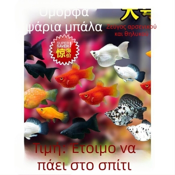 Jinpeng Φίλτρο ενυδρείου - Μάρκα Jinpeng, Εξοπλισμός ενυδρείου, Υλικό: Άλλο