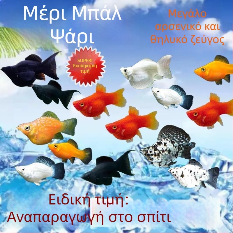 Jinpeng Φίλτρο ενυδρείου - Μάρκα Jinpeng, Εξοπλισμός ενυδρείου, Υλικό: Άλλο