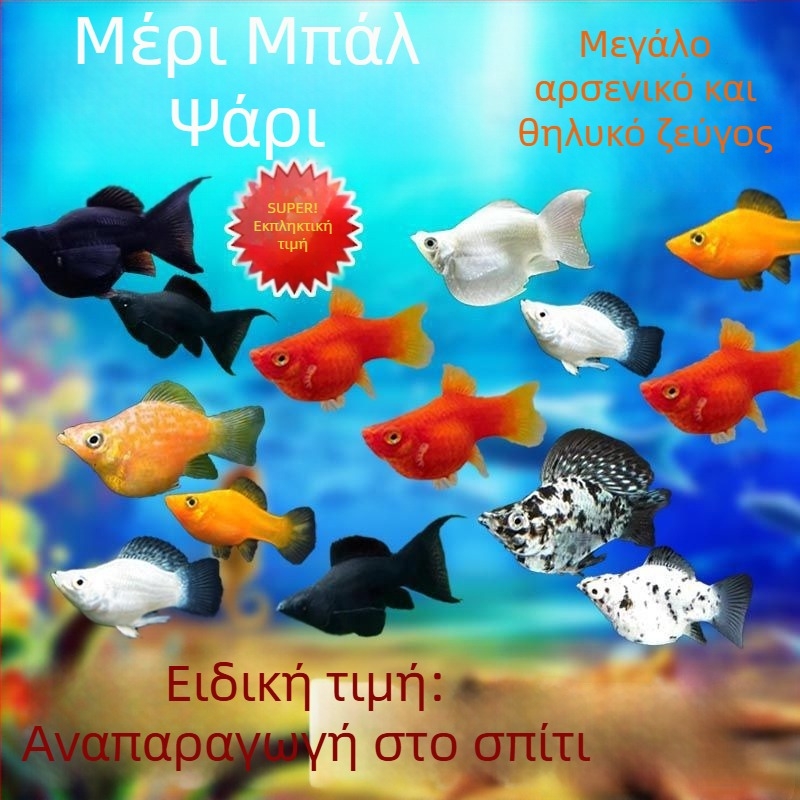Jinpeng Φίλτρο ενυδρείου - Μάρκα Jinpeng, Εξοπλισμός ενυδρείου, Υλικό: Άλλο