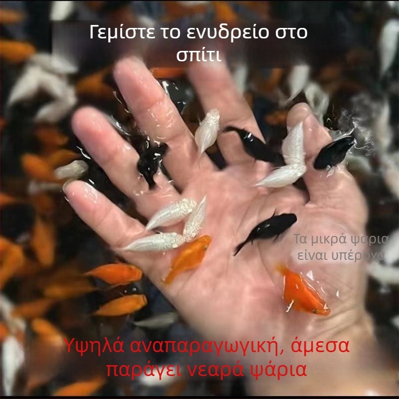 Jinpeng Φίλτρο ενυδρείου - Μάρκα Jinpeng, Εξοπλισμός ενυδρείου, Υλικό: Άλλο