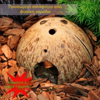 Natural coconut shell reptile cave hideout for lizards, geckos, spiders, snakes, scorpions, hamsters, centipedes and hermit crabs; material: coconut shell; purpose: reptile and small-pet habitat; imported: No
