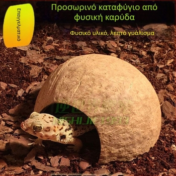 Natural coconut shell reptile cave hideout for lizards, geckos, spiders, snakes, scorpions, hamsters, centipedes and hermit crabs; material: coconut shell; purpose: reptile and small-pet habitat; imported: No