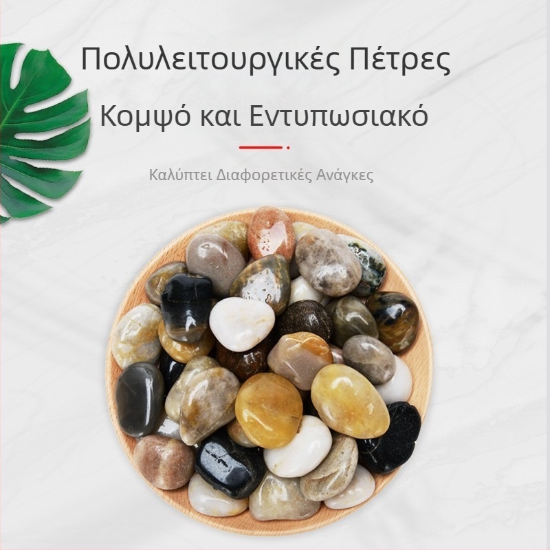 Διακόσμηση ενυδρείου για τοπίο με φυσικούς λίθους, πέτρες Rain Flower, χαλικάκια και συνθέσεις με παχύφυτα σε γλάστρες